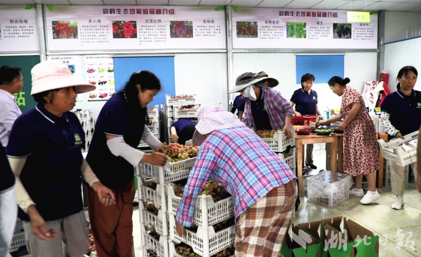 明兴账号怎么注册